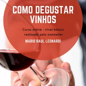 Como degustar vinhos