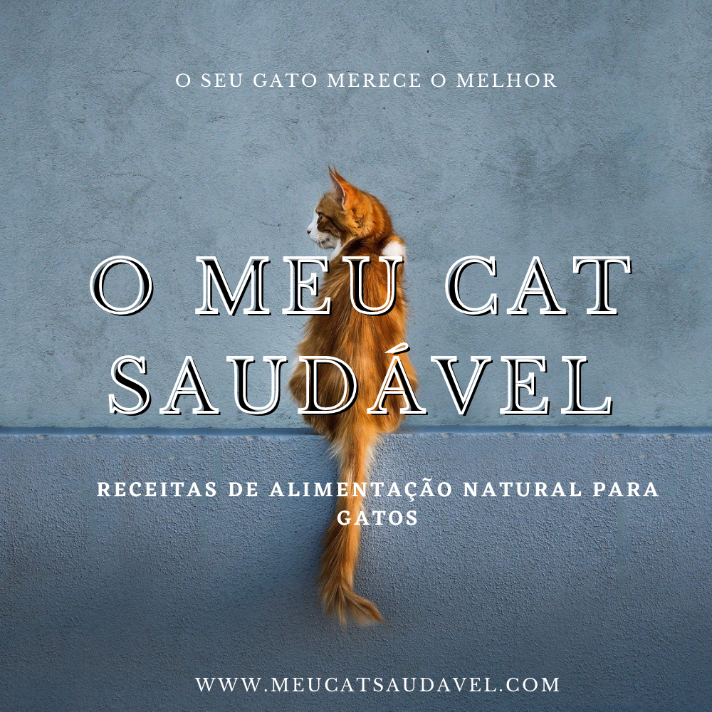 Imagem do curso O Meu Cat Saudável - Receitas de alimentação natural para gatos
