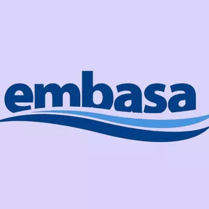 Imagem de capa para o Curso online EMBASA 