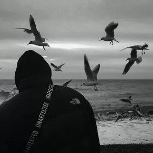 Imagen de portada para Ebook Teste