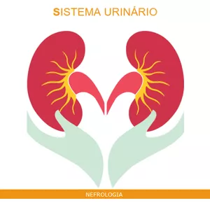 Imagem de capa para o Ebook Apostila - Nefrologia