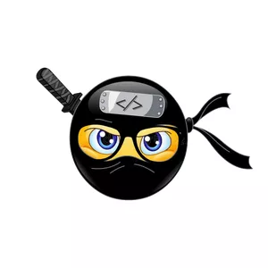 Imagem de capa para o Curso online DEV FAIXA PRETA