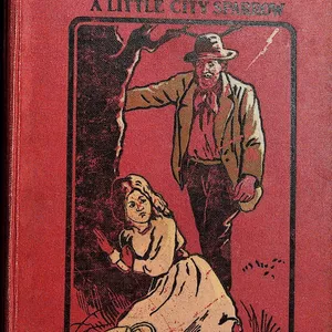 Cover image for Ebook Friendless Felicia : Or a little city sparrow by Eleanora H. Stooke