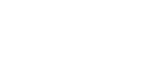 Pollux Design School logo