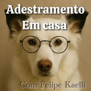 Imagem de capa para o Curso online ADESTRAMENTO EM CASA - Felipe Kaelli 