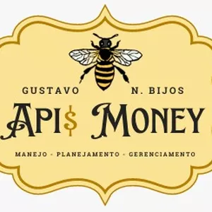PROGRAMA API$ MONEY por Gustavo