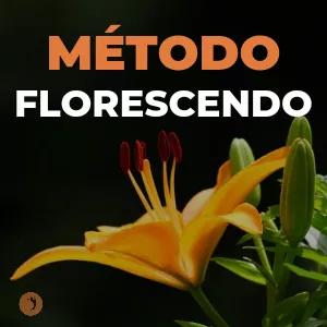 Imagem de capa para o Curso online MÉTODO FLORESCENDO