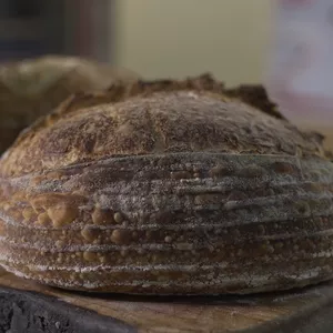 Curso Curso de Sourdough