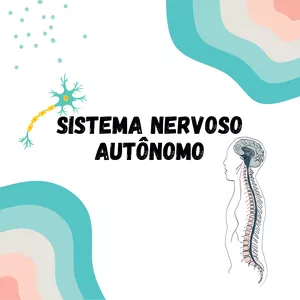 Imagem de capa para o Ebook Resumo sistema nervoso autônomo