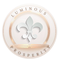 Luminous Academy