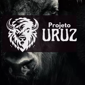 Imagem de capa para o Curso online Projeto Uruz