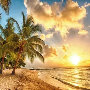 Imagem de capa para o Evento online Surf Treino Caiçara ON