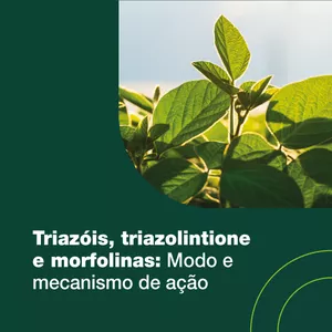 Imagem de capa para o Curso online Triazóis, triazolintione e morfolinas: modo e mecanismo de ação 