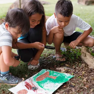 Imagem do curso Práticas Educativas de Sustentabilidade