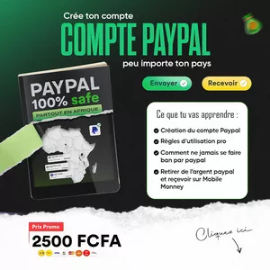 Image de couverture pour le Cours en ligne Paypal Valide en Afrique