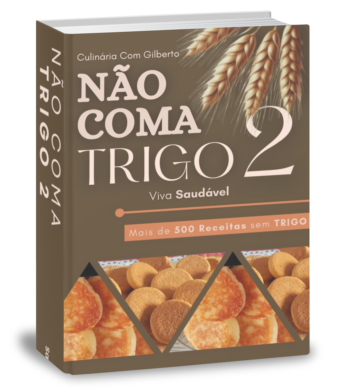 NÃO COMA TRIGO 2 viva saudável