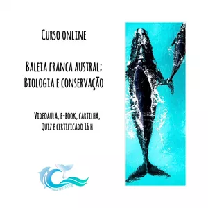 Imagem do curso Curso online "Baleia Franca Austral; Biologia e Conservação".