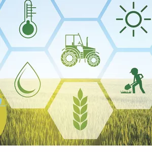 Imagem de capa para o Curso online AGRICULTURA DE PRECISÃO