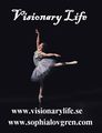 Visionary Life logo