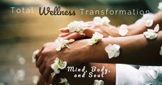 Holistic Wellness  Academy logo