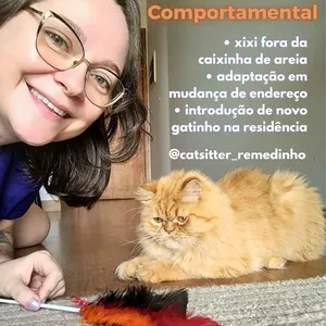 Imagem de capa para o Serviço online Consultoria Comportamental Felina - Brigas entre gatos e xixi fora da caixa? Nunca mais!