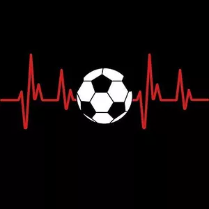 Cover image for Online course soccer world