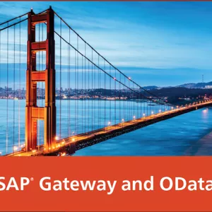 Imagem de capa para o Curso online SAP Gateway e OData