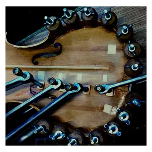 Imagem de capa para o Curso online  Liuteria in Via