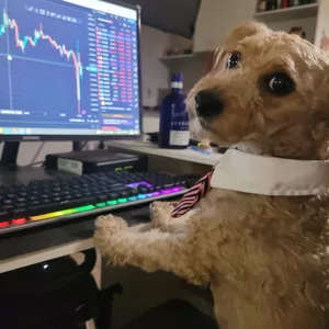 Imagen de portada para Ebook 3- Rugby Real: Los Tres Mosqueteros del Campo Oval