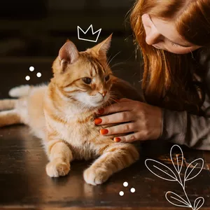 Imagem de capa para o Ebook “Gatificando” teu lar de forma eficaz + Bônus