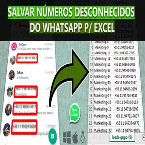 Save Leads! Salvar contatos do whatsapp em excel massa>