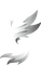 Anivia.ro