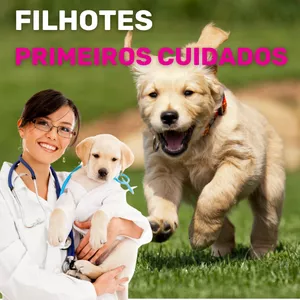 Imagem de capa para o Serviço online FILHOTES - Primeiros cuidados - Consultoria Online Exclusiva