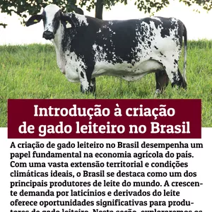 Imagem de capa para o Ebook Introdução à criação de gado leiteiro no Brasil