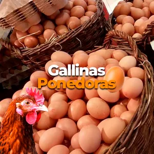 Imagen de portada para Curso online Finalizar compra