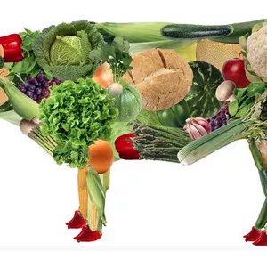 Cover image for Ebook O SENTIERO ETICO DI VEGANISMO PER LA PORTATA DELLA SOSTENIBILITÀ