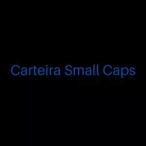 Imagem de capa para o Curso online Carteira de SMALL CAPS