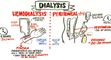 Dialysis Training Center