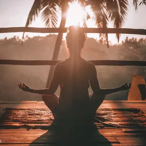 Imagem do curso Transforme sua Vida em Apenas 15 Minutos Diários de Meditação Profunda