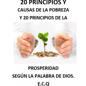 Imagen de portada para Ebook 20 CAUSAS DE LA POBREZA Y 20 PRINCIPIOS QUE LLEVAN A LA PROSPERIDAD SEGUN LA BIBLIA