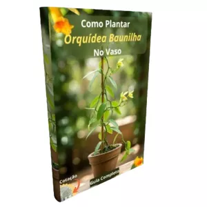 Imagem de capa para o Ebook Como Plantar Orquídea Baunilha No Vaso