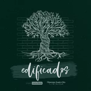 Imagem de capa para o Curso online Edificados