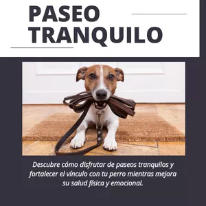 Imagen de portada para Curso online PASEO TRANQUILO:  Guía Práctica para Caminatas Sin Estrés con tu Perro