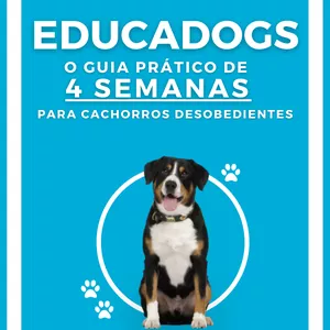 Imagem de capa para o Ebook Educadogs