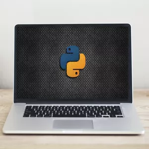 Imagem de capa para o Curso online Python do Zero à Automação