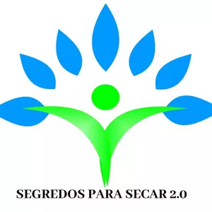 Imagem de capa para o Ebook SEGREDOS PARA SECAR SS20
