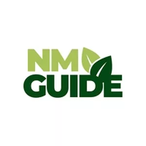 Cover image for Online course NM Guide