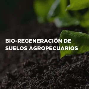 Imagen de portada para Curso online Bio-regeneración de suelos agropecuarios
