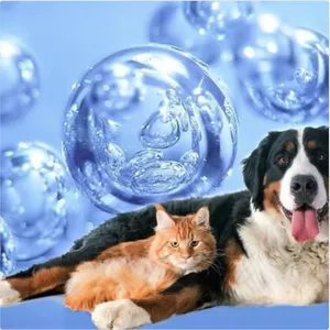 Imagen de portada para Curso online [NUEVO] Ozonoterapia