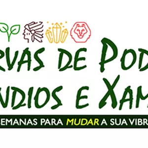 Imagem de capa para o Curso online Formação em Xamanismo